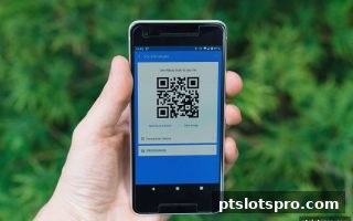 pt电子游戏TRC20出款审核深度指南：地址验证、返水机制与极速体验
