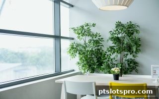 pt电子游戏深度解析：SBO体育真人娱乐规则全攻略