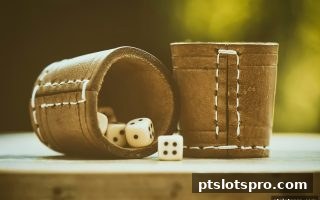 pt电子游戏彩票数据解析：高效策略与最新入口全攻略