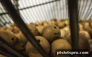 pt电子游戏视角：彩票参与者的理性进阶指南