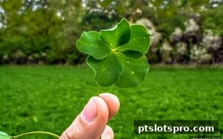 pt电子游戏与理财：从骰宝看概率与资金管理的艺术