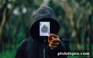 掼蛋搭档默契与pt电子游戏中的数字支付新体验