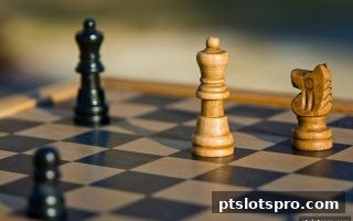 pt电子游戏带你解锁桥牌全攻略：从零基础到牌桌高手的实战秘籍