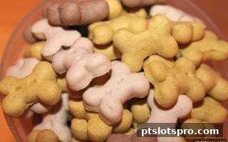 血战麻将保障与补偿全解析：pt电子游戏玩家必知的安全网