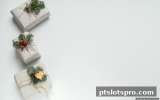 pt电子游戏全面解析「不计输赢」活动：零门槛轻松获取平台福利