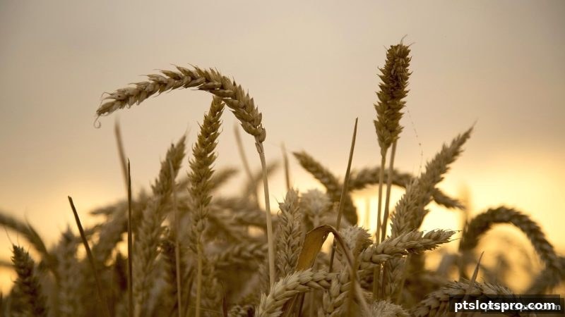 pt电子游戏平台福利解密：签到奖励与不计输赢返水机制全攻略