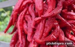 pt电子游戏返佣机制深度解读：新用户如何高效拿返水？