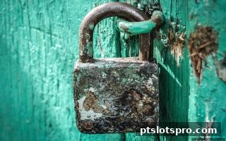 pt电子游戏用户必读：体育互动平台风险规避与安全参与全攻略