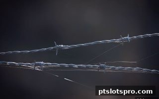 pt电子游戏：认证体系与存送活动完全攻略