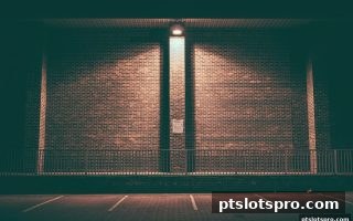 pt电子游戏深度解析：电子游艺免费旋转的机制与获取技巧