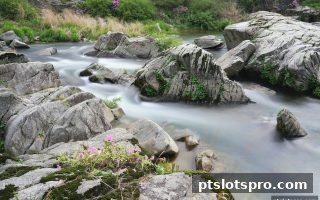 pt电子游戏视角：足球赛事互动为何成为直播新宠
